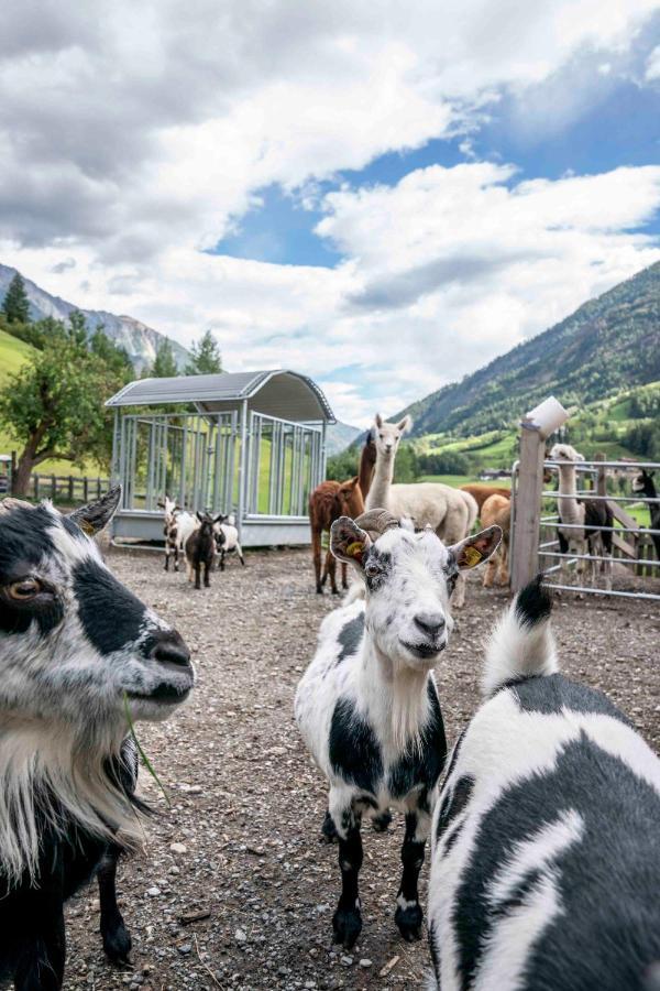 Ferienwohnung Ruggenthalerhof Matrei in Osttirol Exterior foto